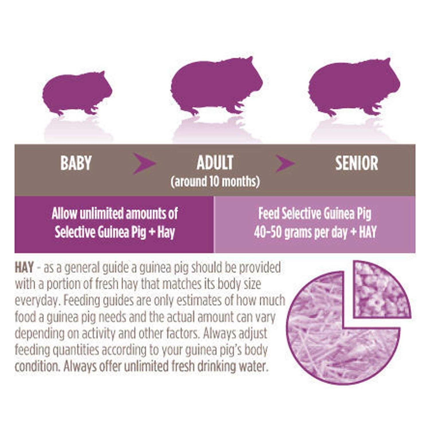 Science Selective Guinea Pig Food - Healthber