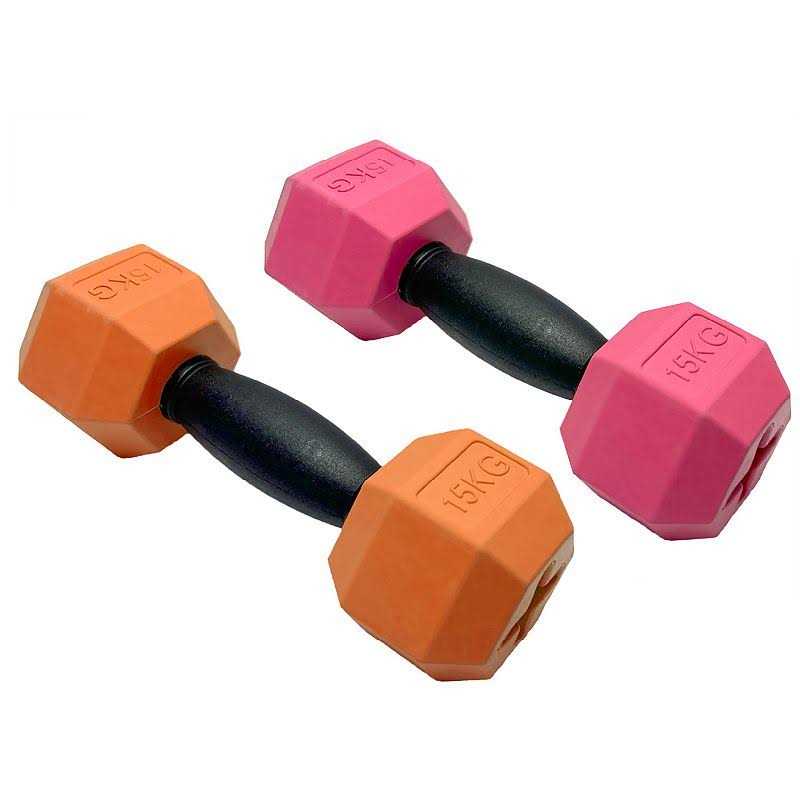 Friends Forever Dumbbell Rubber Chew Dog Toys 2-piece Set - Healthber