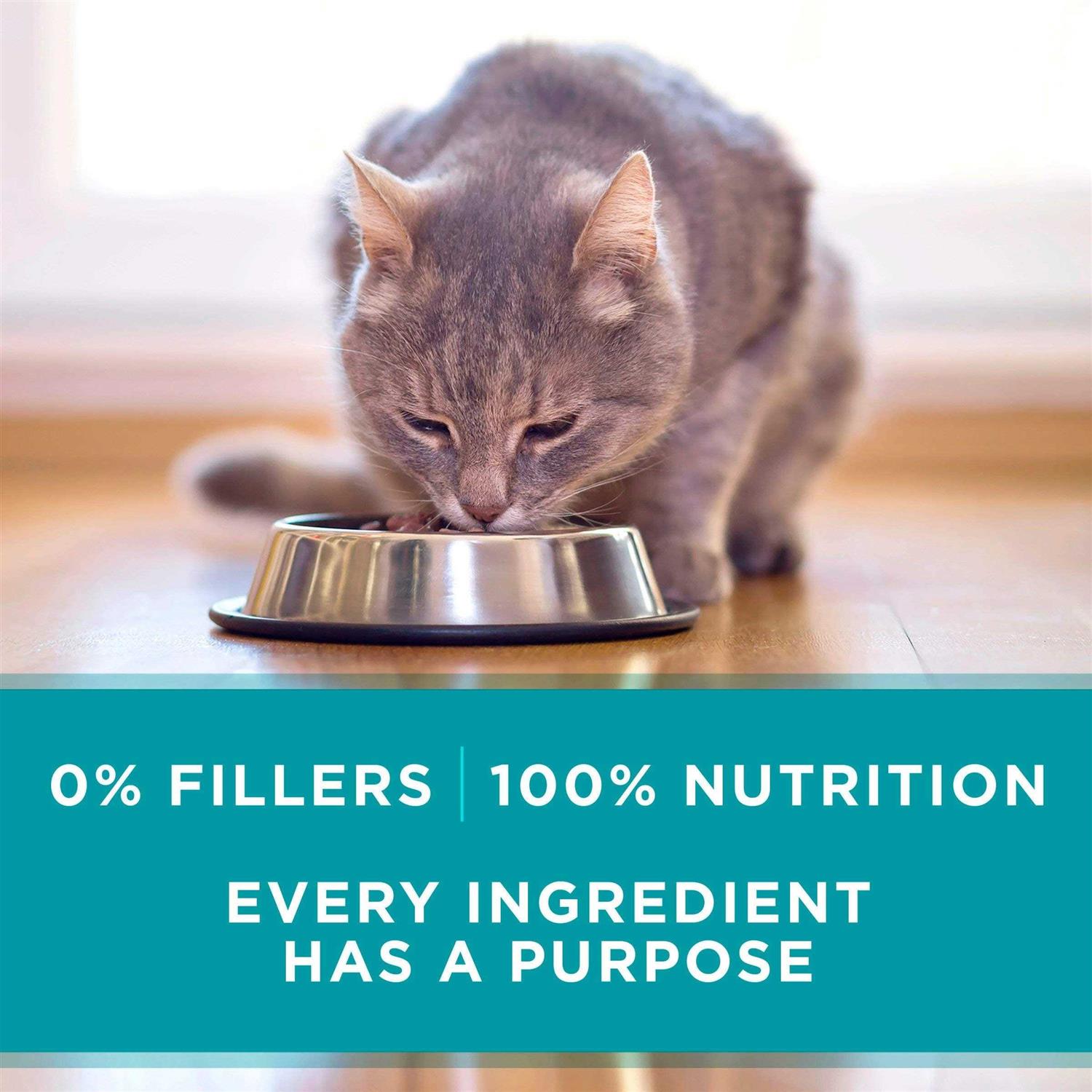 Purina ONE Natural High Protein Wet Cat Food Variety Pack True Instinct Turkey - Healthber