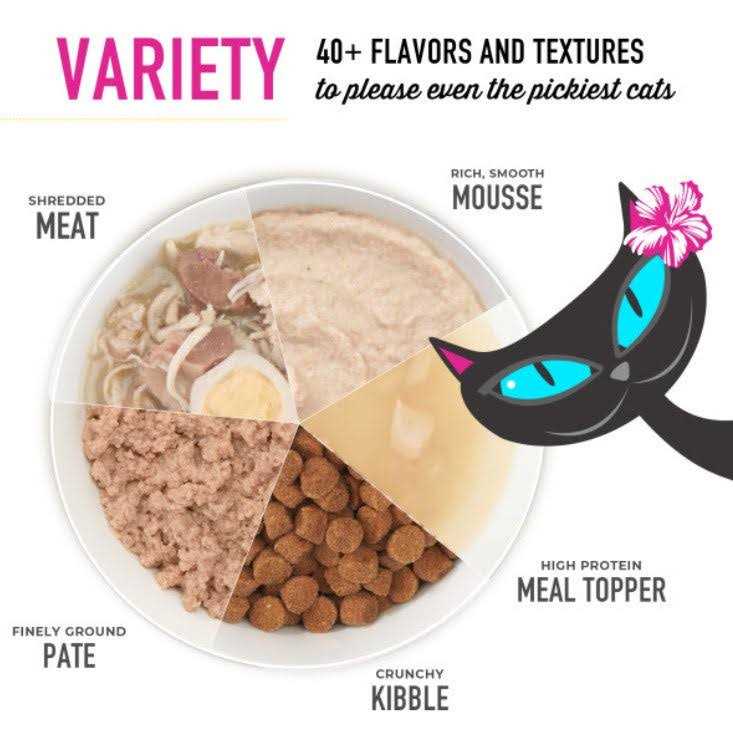 Tiki Cat Velvet Mousse Kitten Salmon & Chicken Wet Cat Food - Healthber
