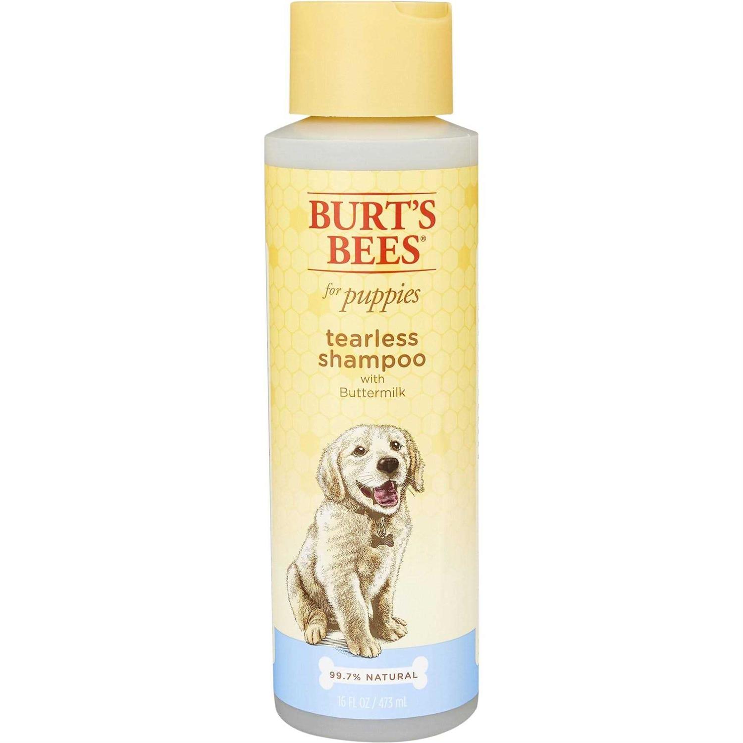 Burt’s Bees Tearless Shampoo with Buttermilk - Healthber