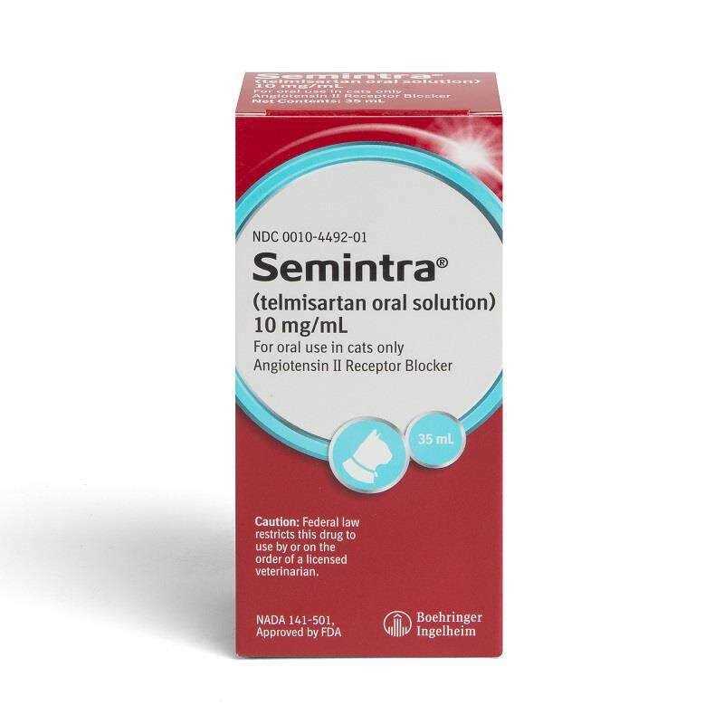 Semintra Oral Solution for Cats 10 mg/ml - Healthber