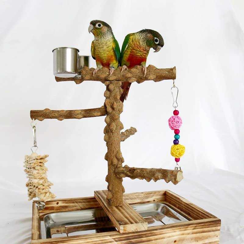 Bird Perch Platform Stand,Wood Perch Bird Platform Parrot Stand Playground Cage Accessories for Small Anminals Rat Hamster Gerbil Rat Mouse Lovebird - Healthber