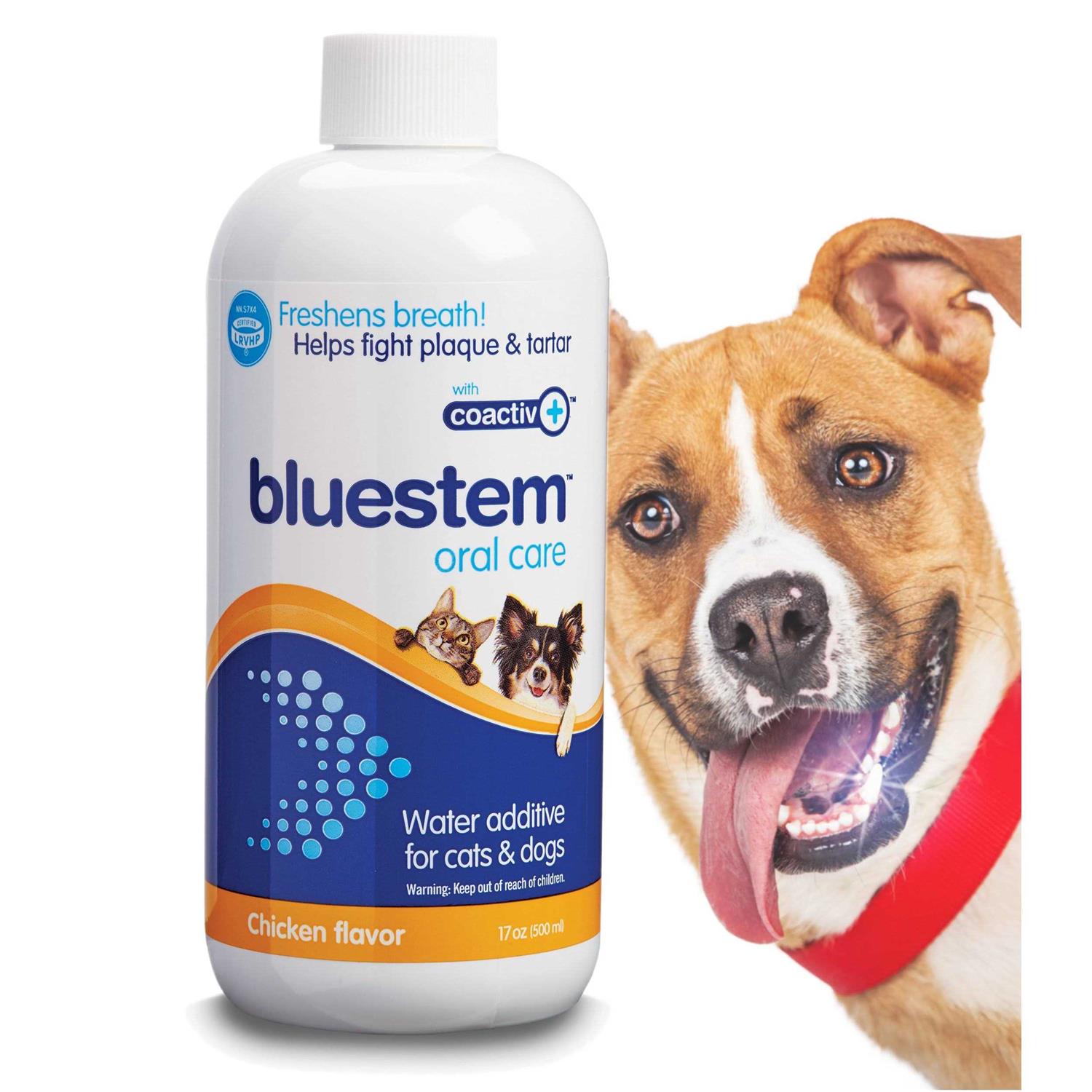 Bluestem Water Additive - Healthber