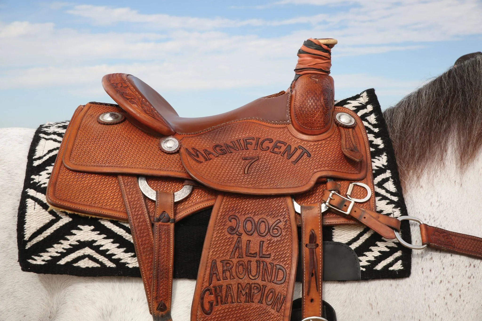 Comfort-fit SMx H.D. Air Ride: El Dorado Saddle Pad - Healthber