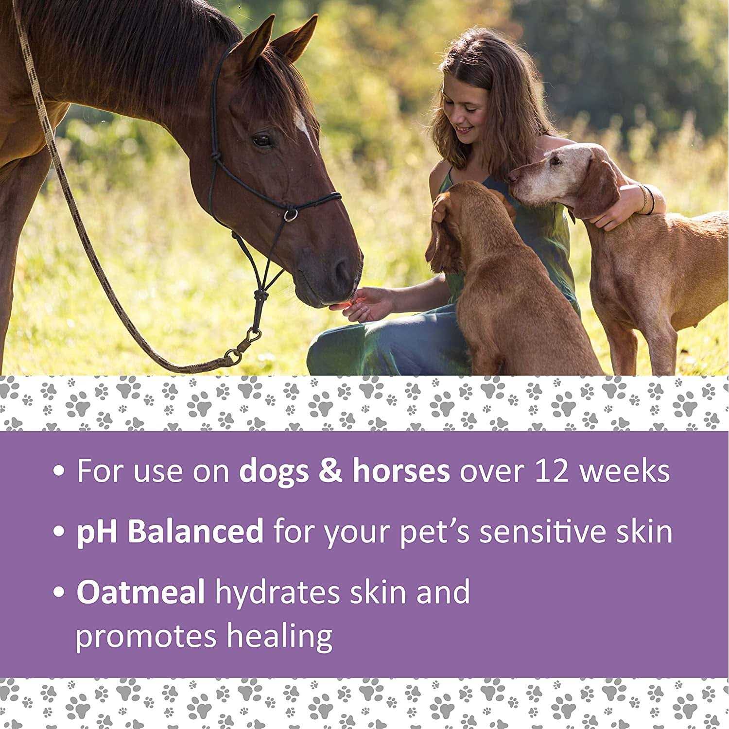 Veterinary Formula Clinical Care Antiparasitic Antiseborrheic Shampoo - Healthber