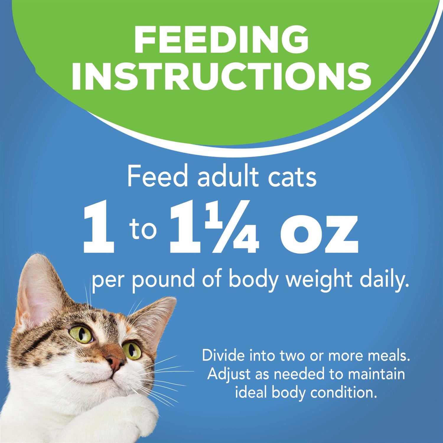 Friskies Indoor Flaked Ocean Whitefish Canned Cat Food - Healthber