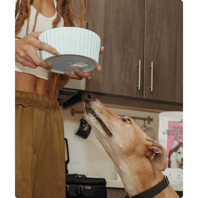 Jinx Freeze Dried Salmon Dry Dog Food Topper - Healthber