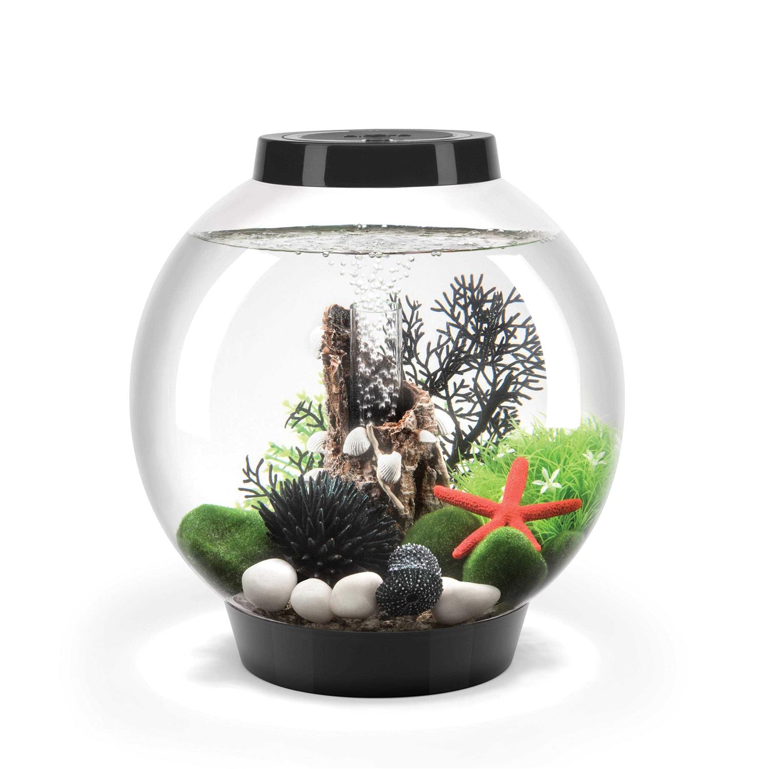 biOrb CLASSIC Collection - Healthber