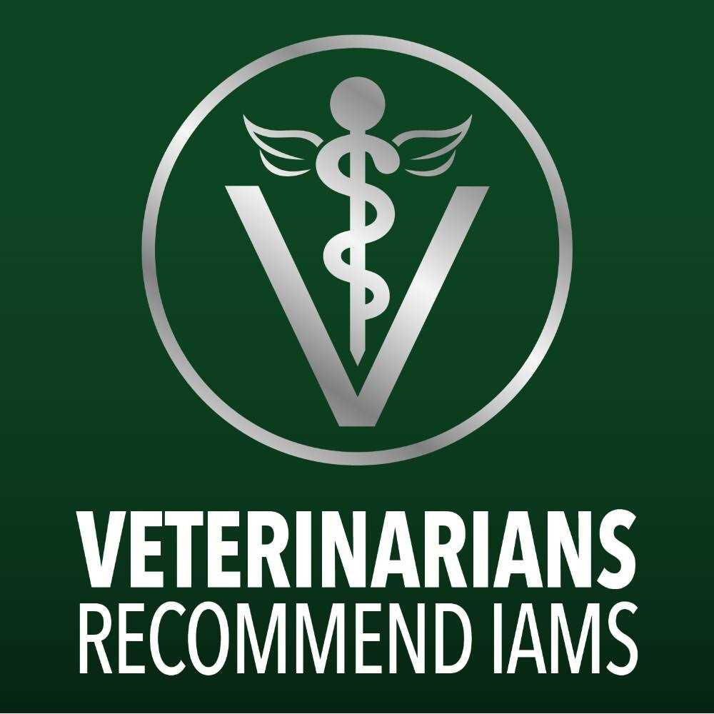 IAMS Advanced Health Skin & Coat Chicken and Salmon Recipe Dry Dog Food - Healthber