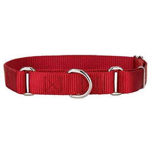 Country Brook Petz Martingale Nylon Dog Collar - Healthber
