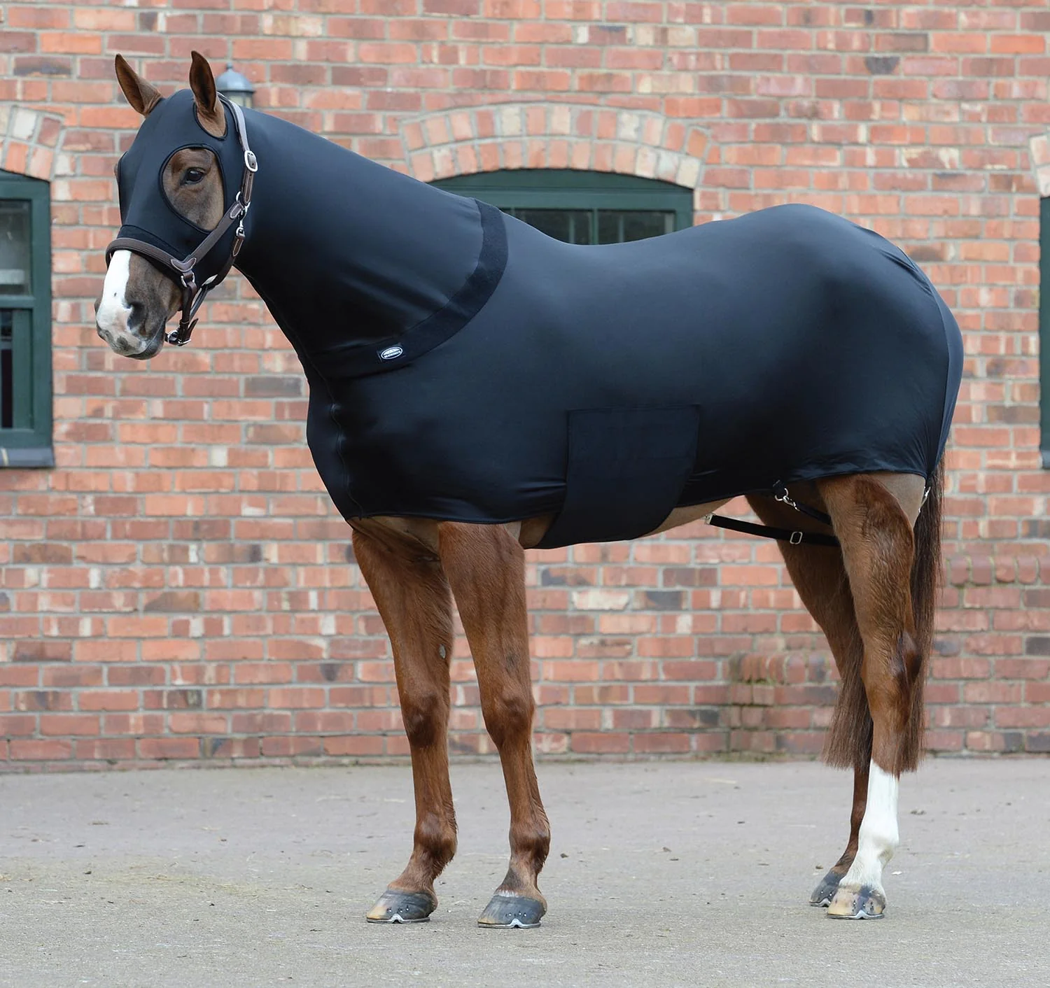 WeatherBeeta Stretch Lycra Horse Rug, Black - Healthber