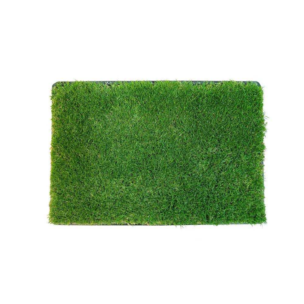 Gotta Go Grass with Tray - Healthber