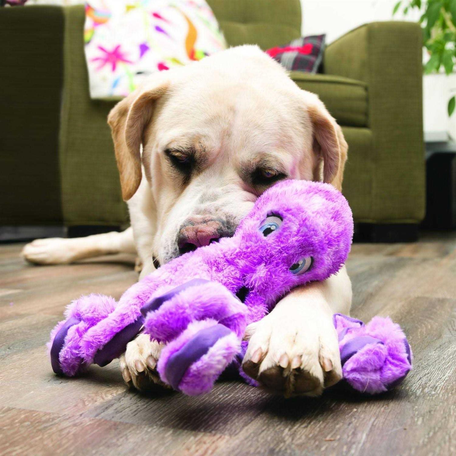 Kong SoftSeas Octopus Dog Toy - Healthber