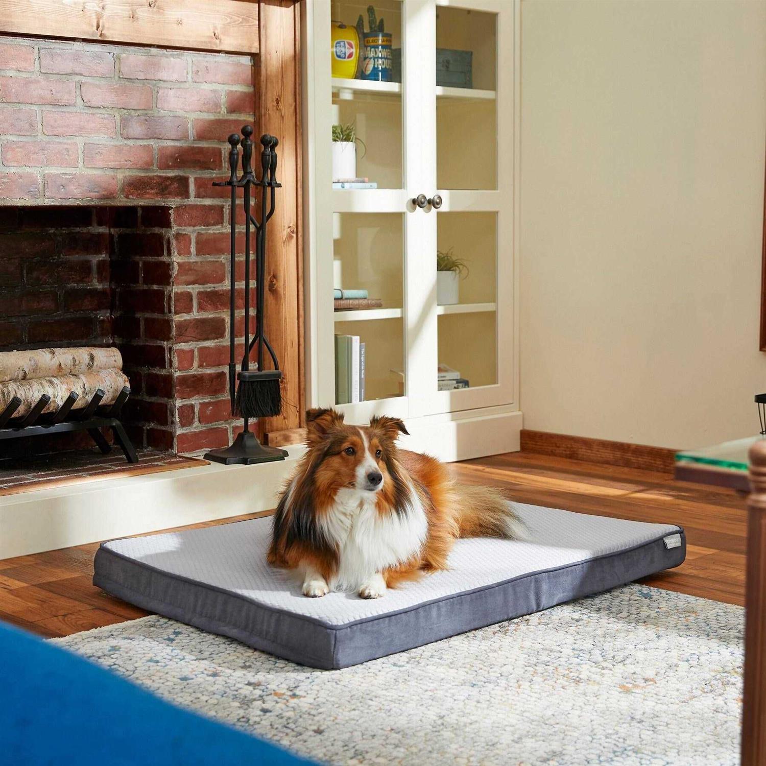 Frisco Cooling Orthopedic Pillow Dog Bed w/Removable COVER Large - Healthber