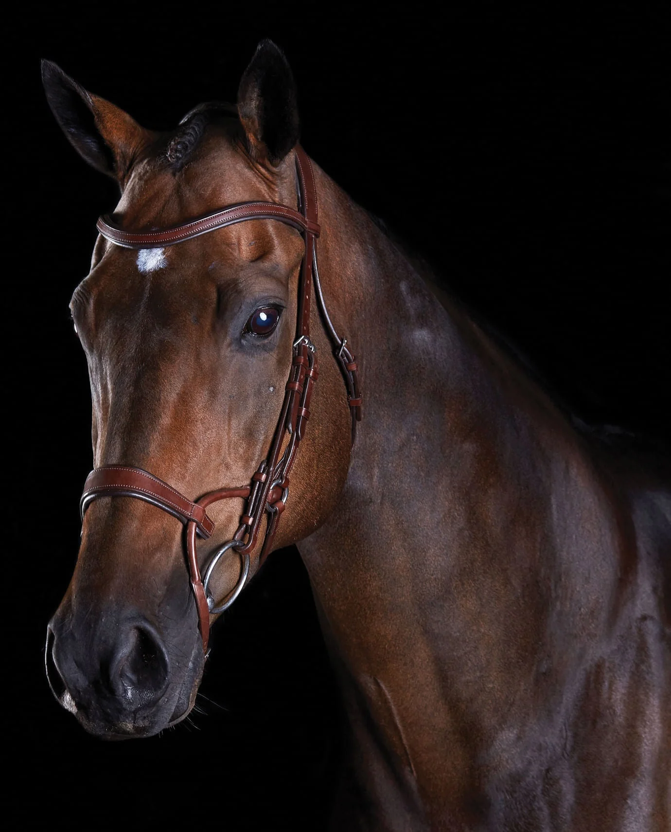 Collegiate ComFITec Training Bridle - Healthber