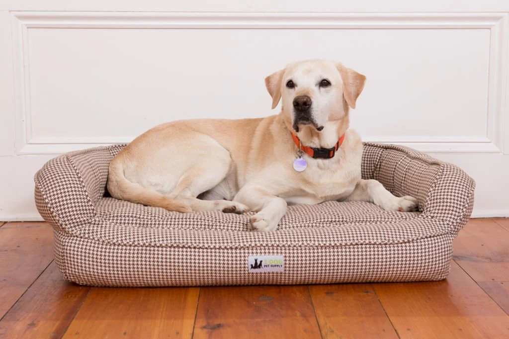 EZ-Wash Premium Headrest Memory Foam Dog Bed, Medium - Healthber