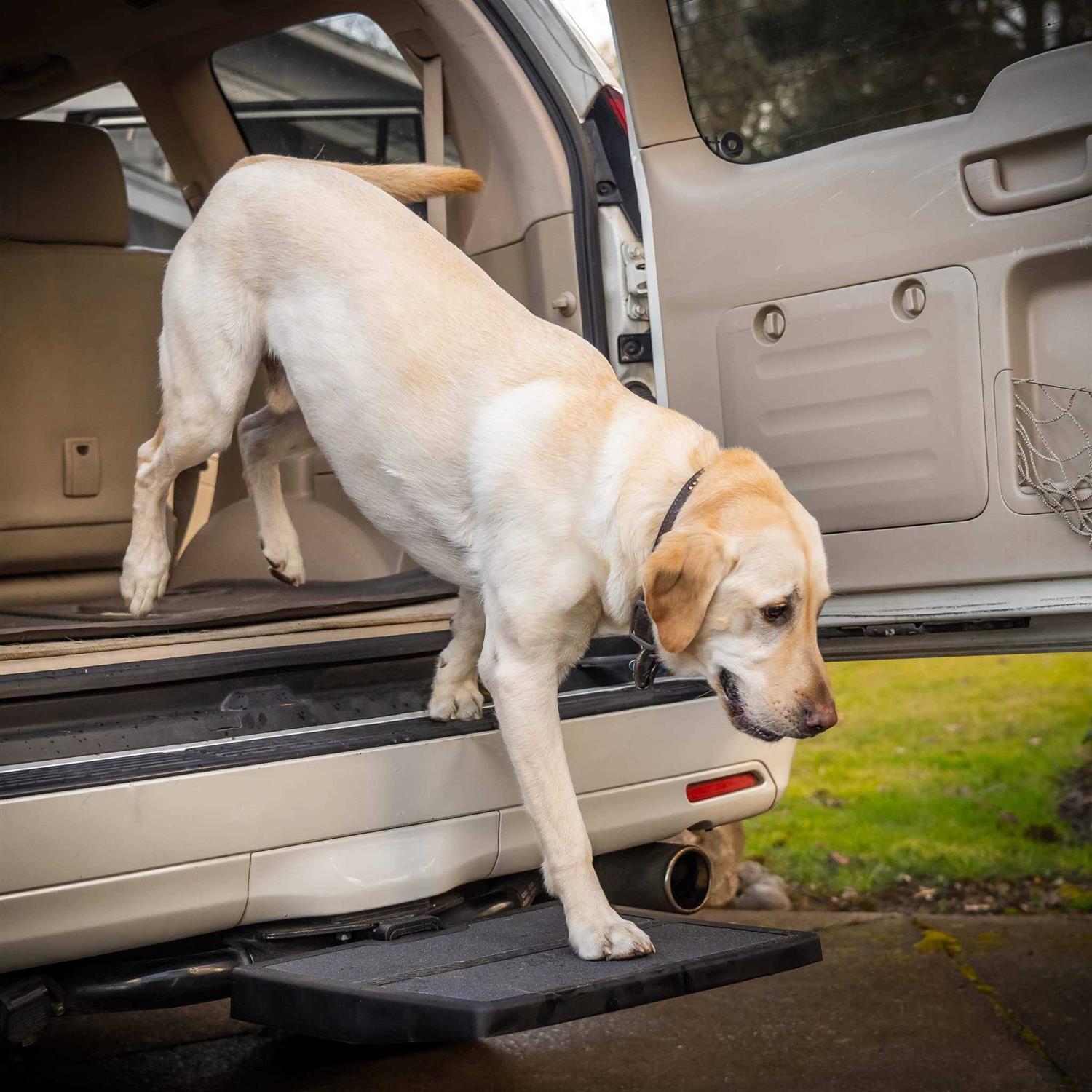 Otto Step Car Pet Ramp Pet Step - Healthber