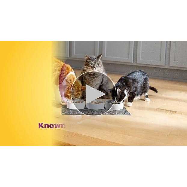 Meow Mix Original Choice Cat Food - Healthber