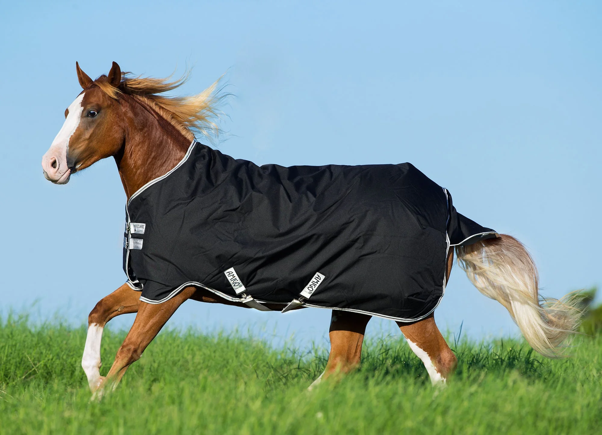 Amigo Stock Medium Weight Horse Turnout Blanket - Healthber