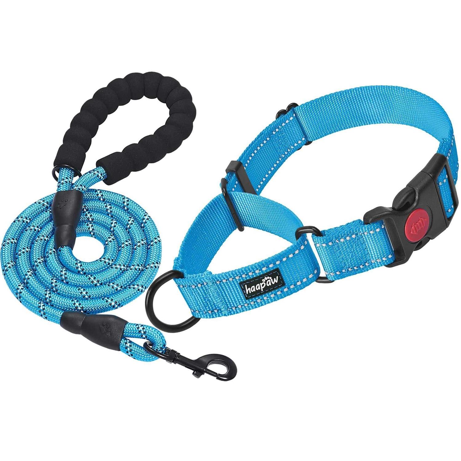 Haapaw 2 Packs Martingale Dog Collar with Quick Release Buckle Reflective Dog Training Collars for Small Medium Large Dogs - Healthber