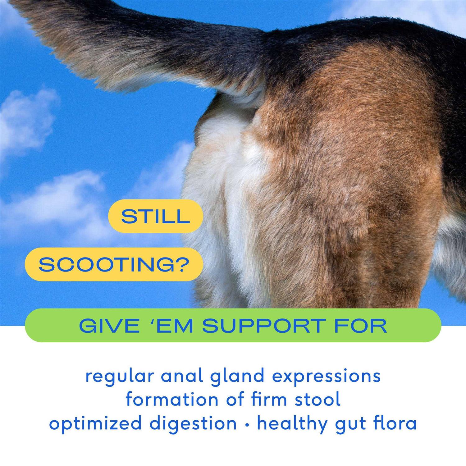 Native Pet GlandAid Anal Gland Supplement for Dogs - Healthber