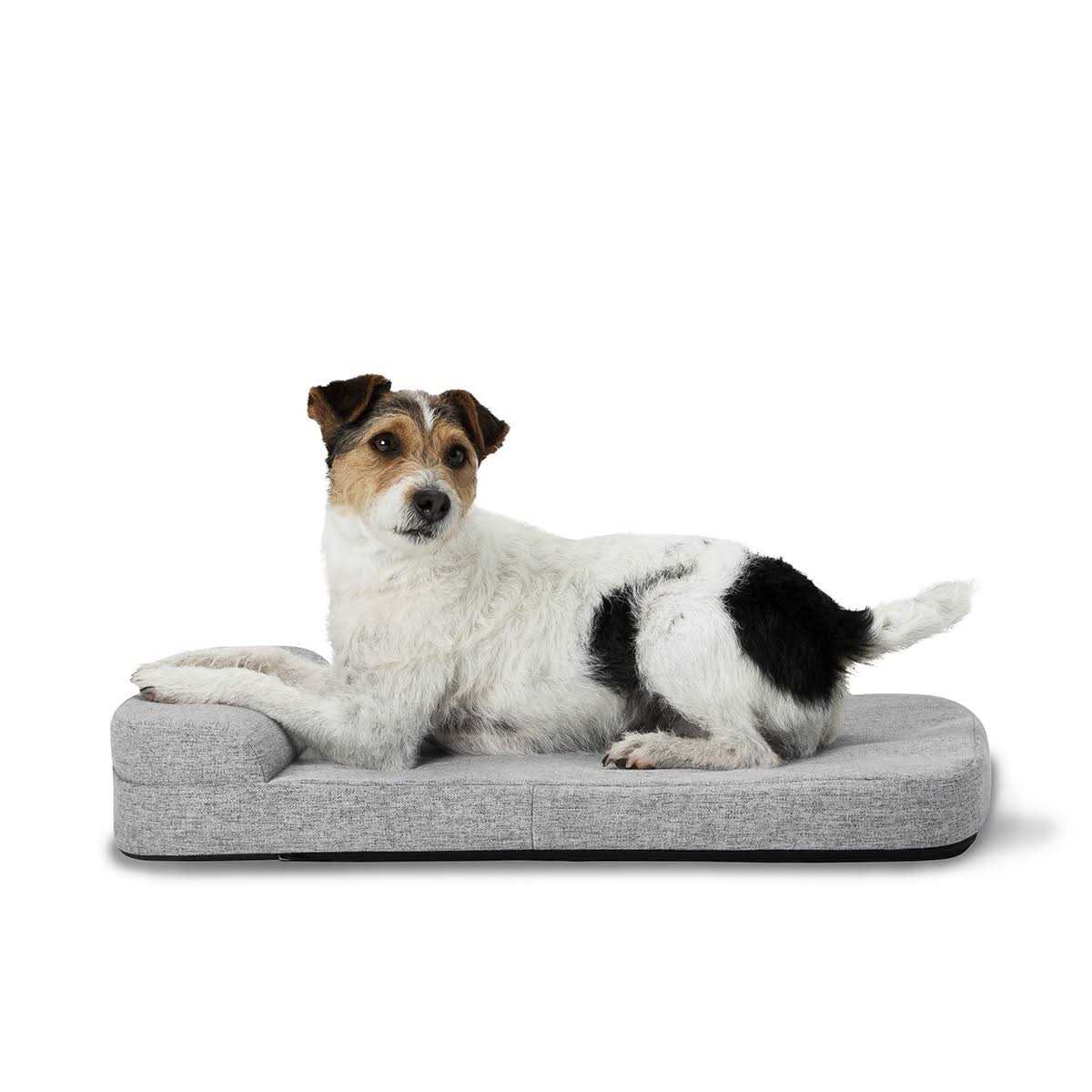 Diggs Bolstr Dog Bed - Healthber