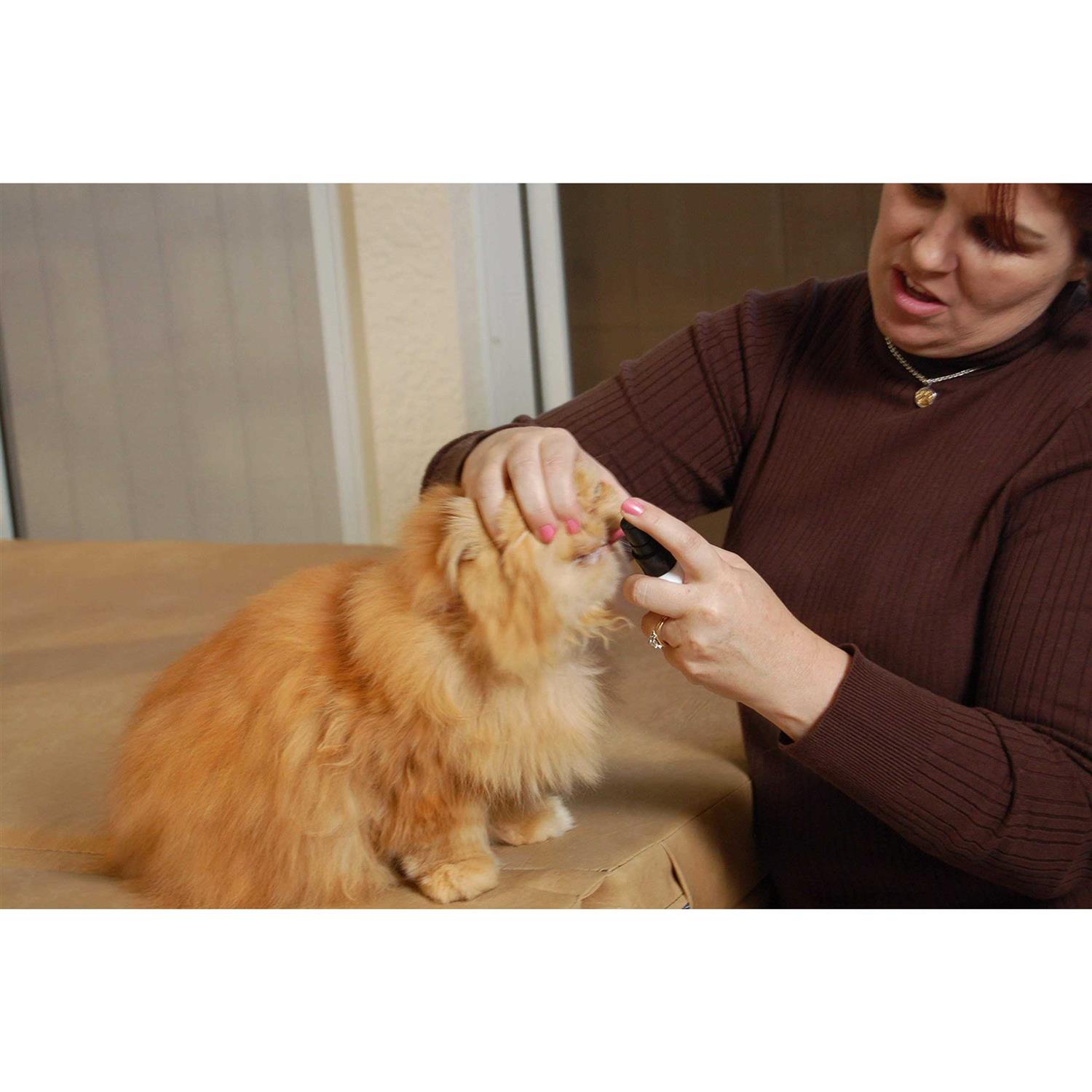 Plaque Attack Pet Dental Spray - Healthber