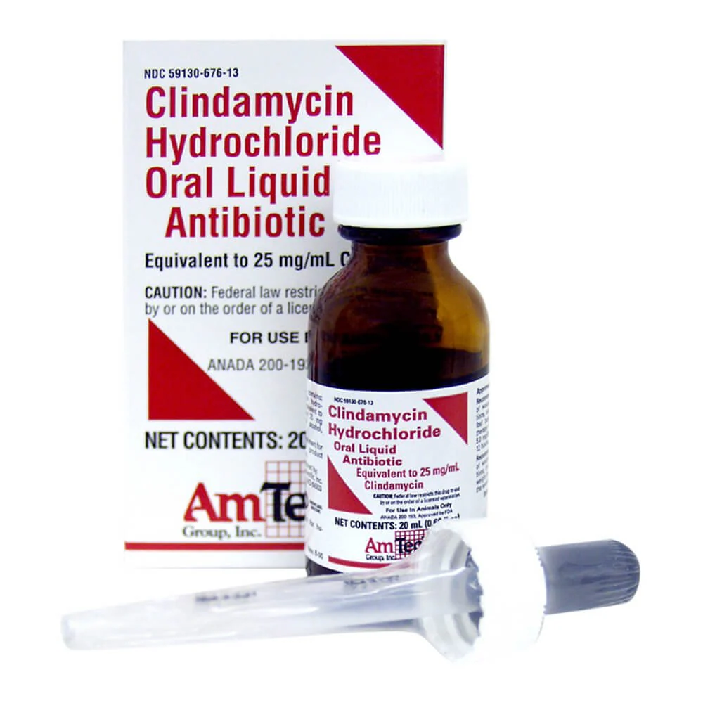 Rx Clindamycin, 25mg/ml Oral Drops x 20 ml bottle - Healthber