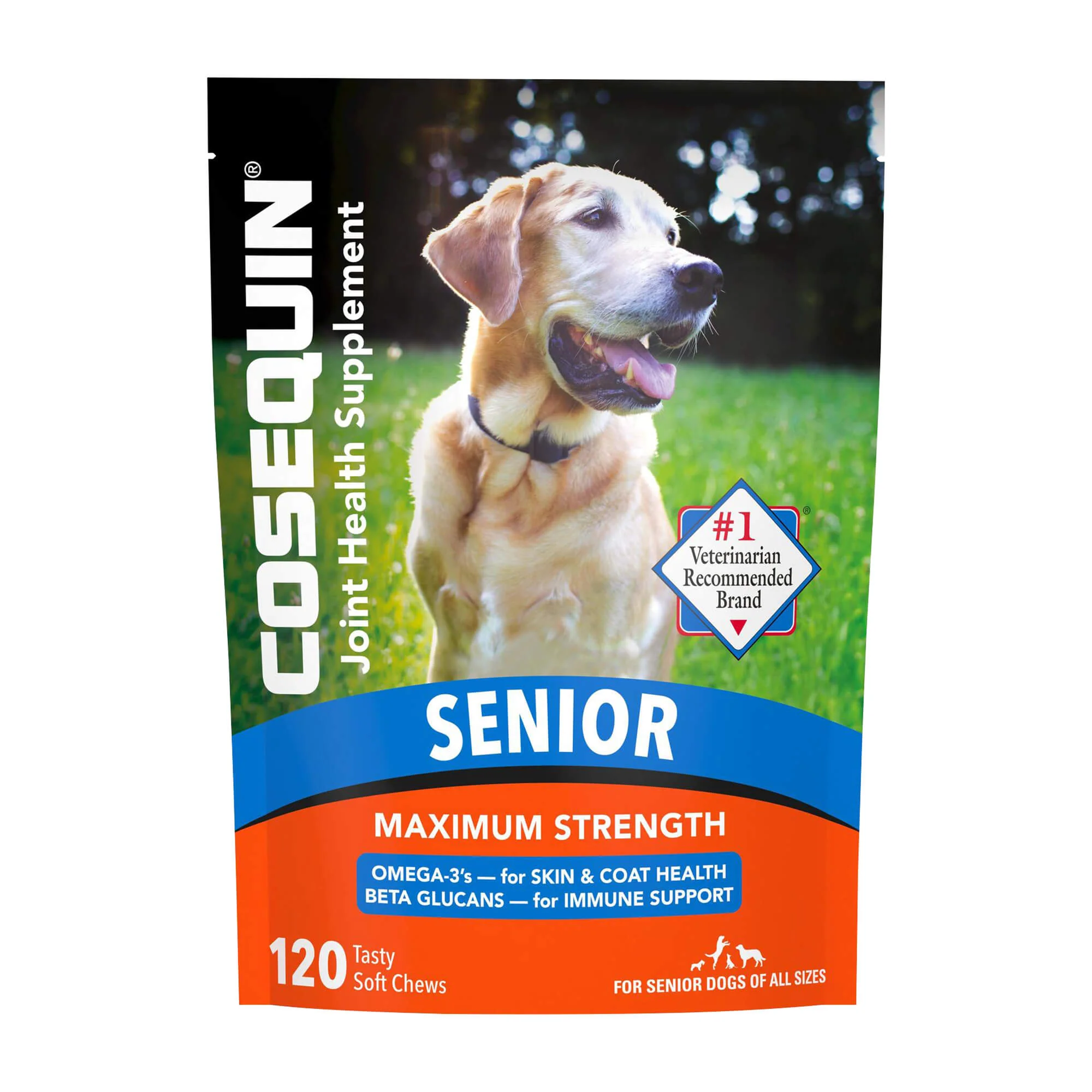 Nutramax Cosequin Senior Joint Health Supplement for Senior Dogs, 120 Soft Chews - Healthber