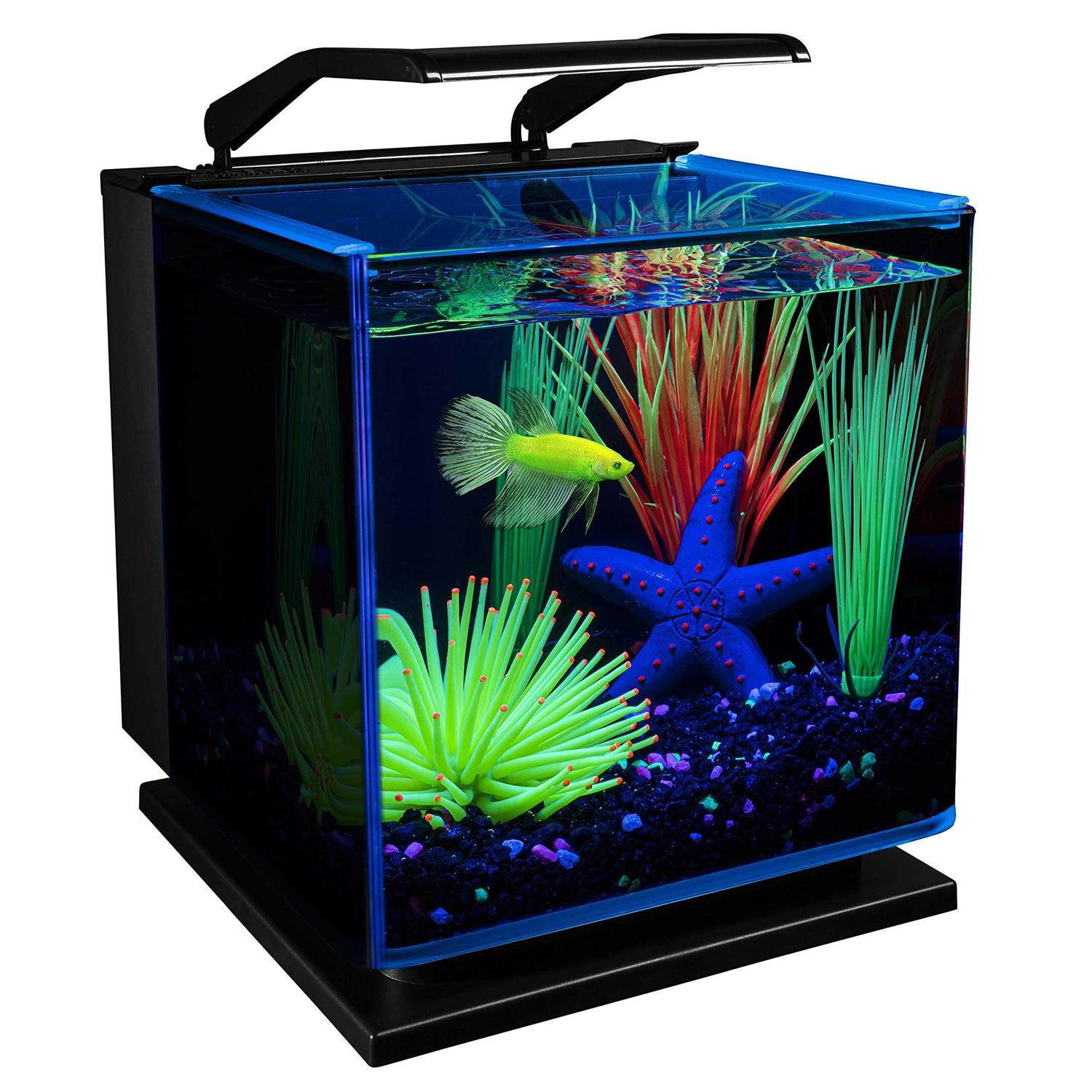 Glofish Betta Aquarium Kit 3 Gallons, Includes LED Lighting and Filter - Healthber