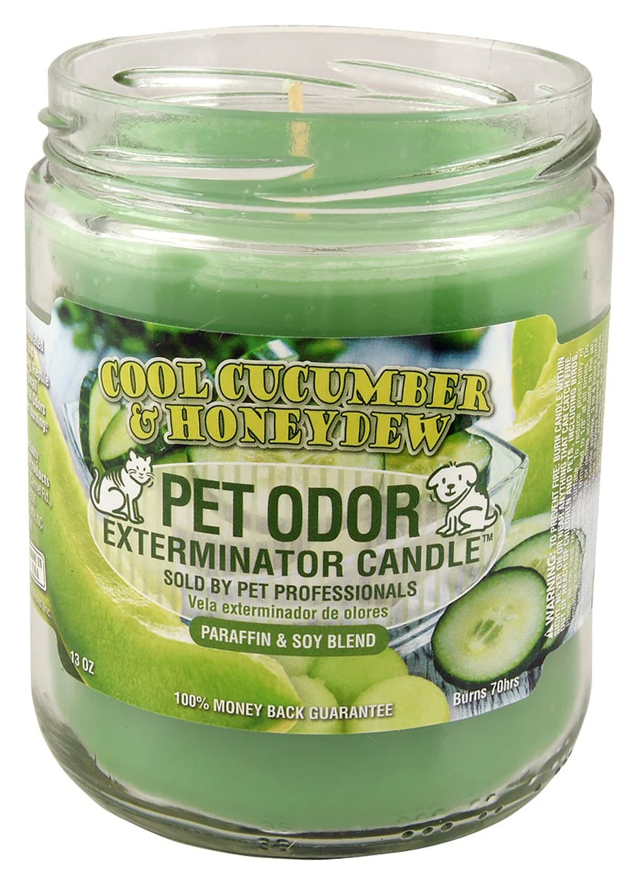 Pet Odor Exterminator Candle, Cool Cucumber & Honeydew, 13 oz - Healthber