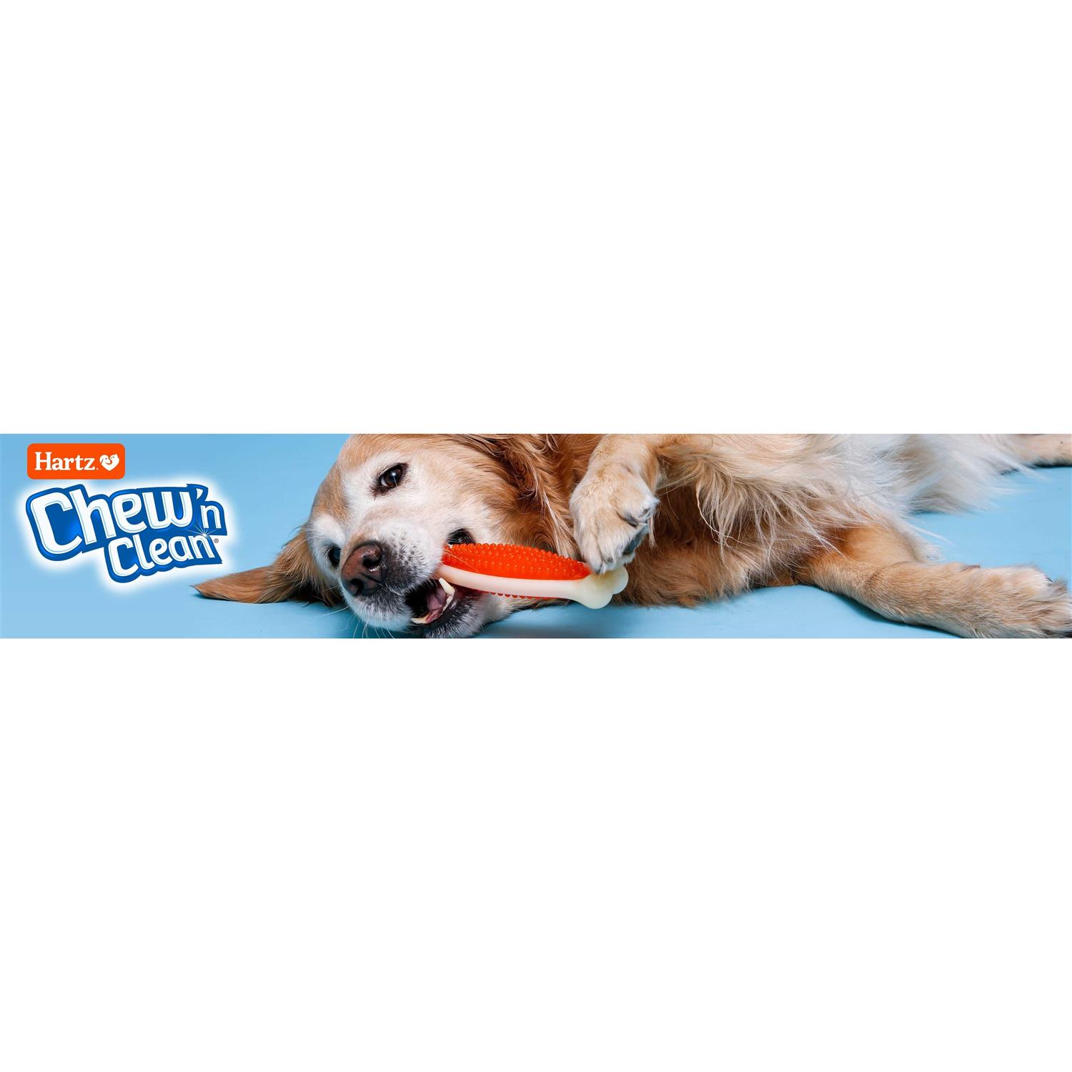 Hartz Chew ‘n Clean Tuff Bone Tough Dog Chew Toy - Healthber