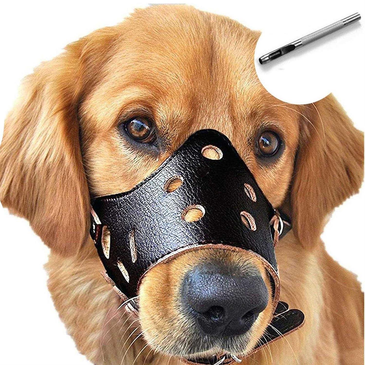 Barkless Dog Muzzle Leather, Comfort Secure Anti-Barking Muzzles For Dog, Breathable And Adjustable, Allows And Eating - Healthber