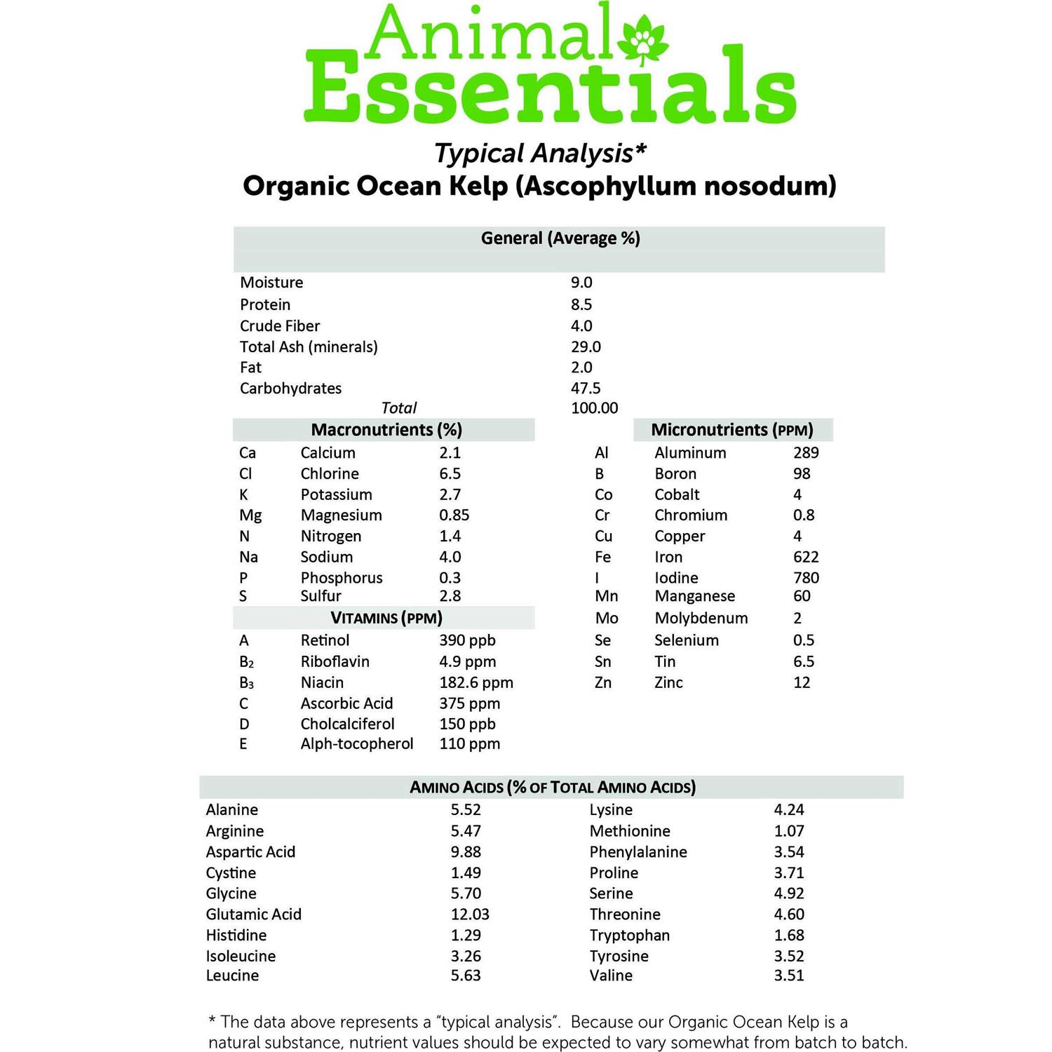 Animal Essentials Organic Ocean Kelp - Healthber