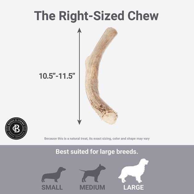 Bones & Chews Made in USA Deer Antler Dog Chew - Healthber