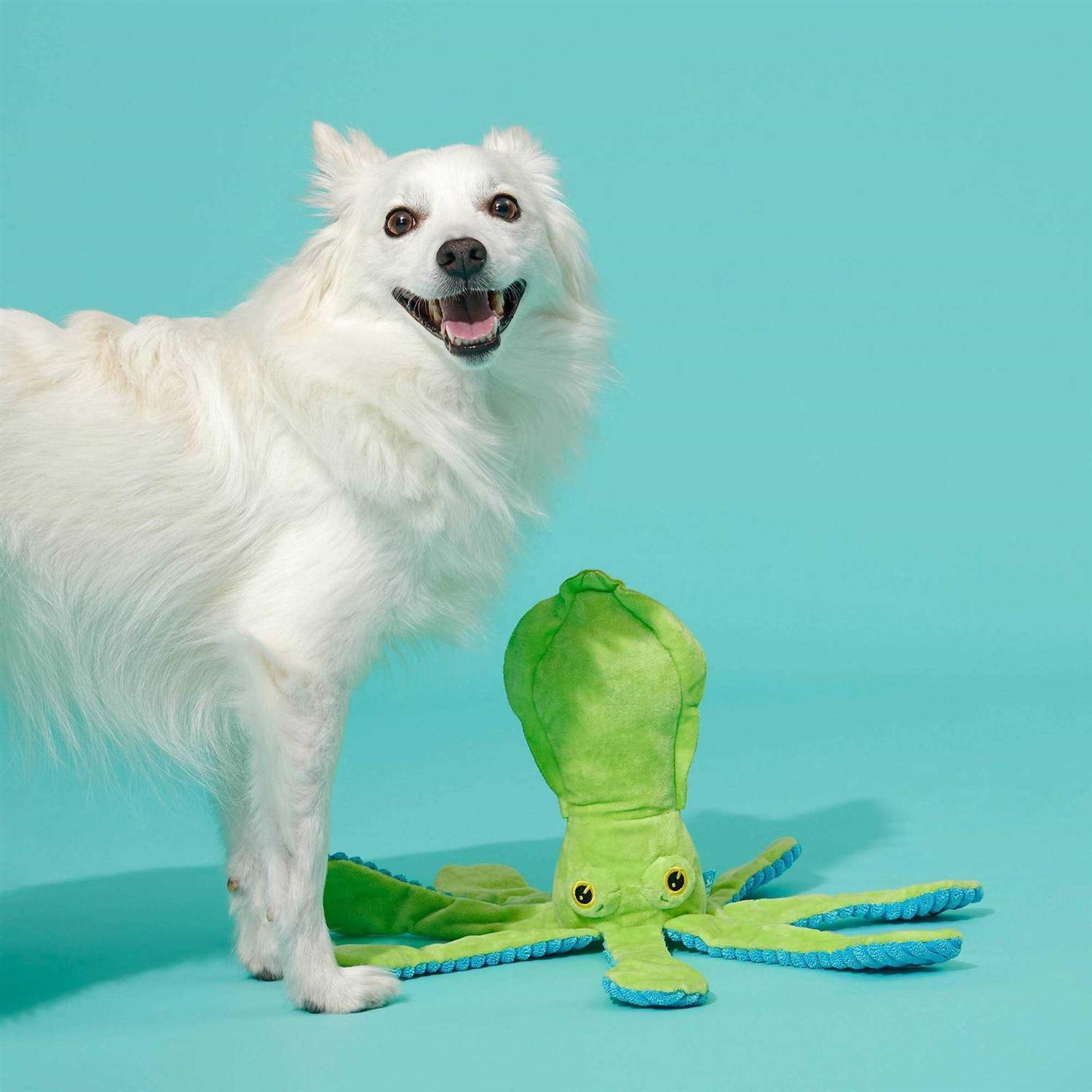 BARK Billy The Squid Dog Toy - Healthber