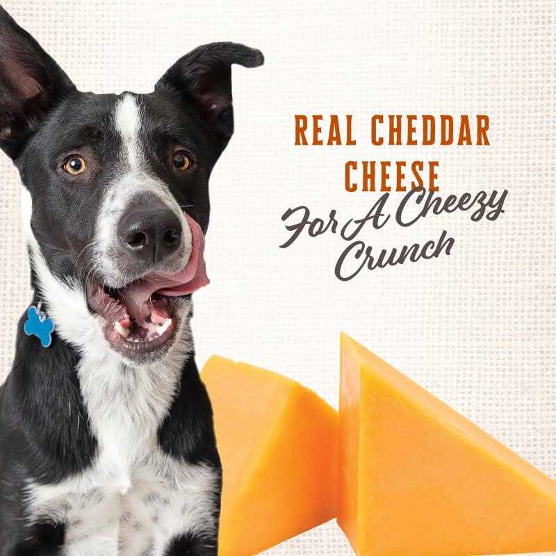 Wholesomes Gourmet Rewards Cheezy Bites Dog Treats - Healthber