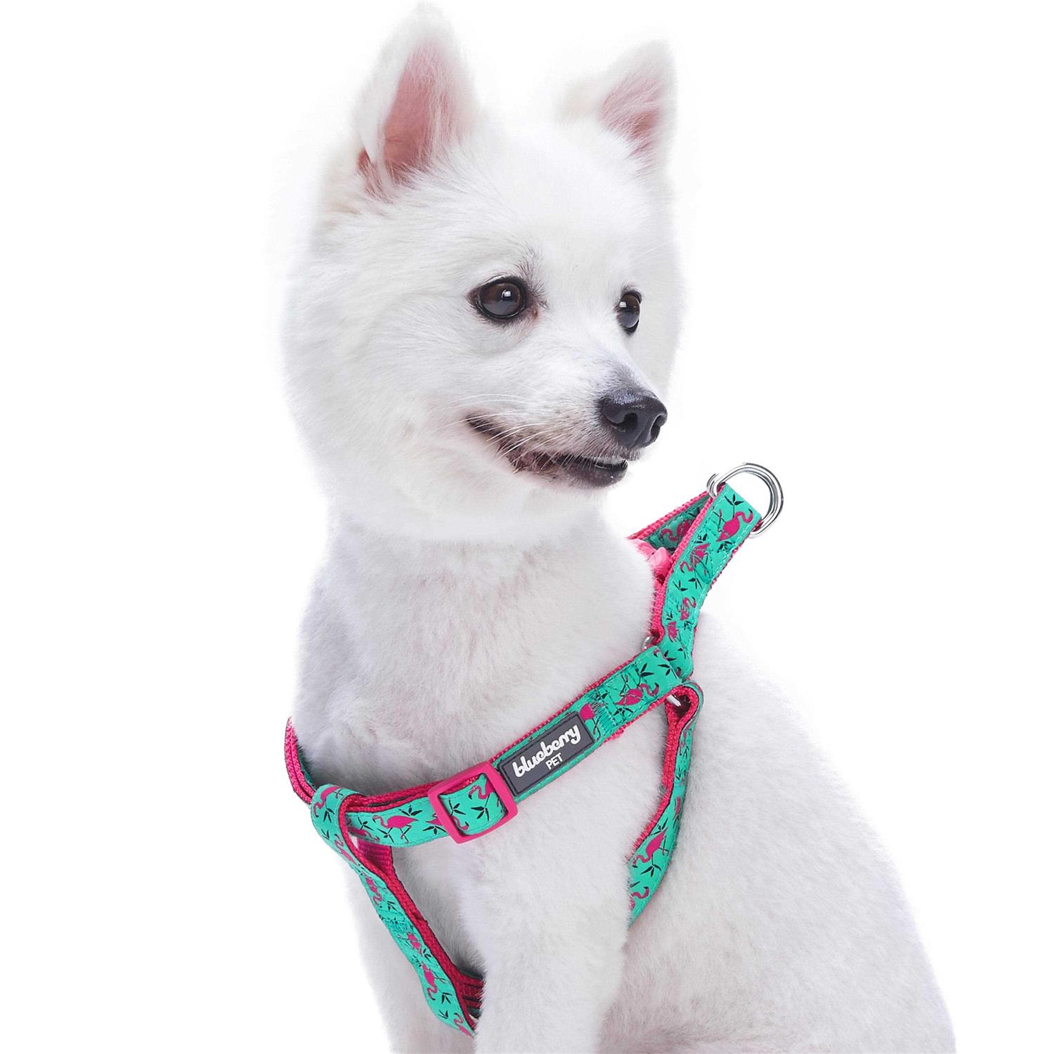 Blueberry Pet Step Dog Harness - Healthber