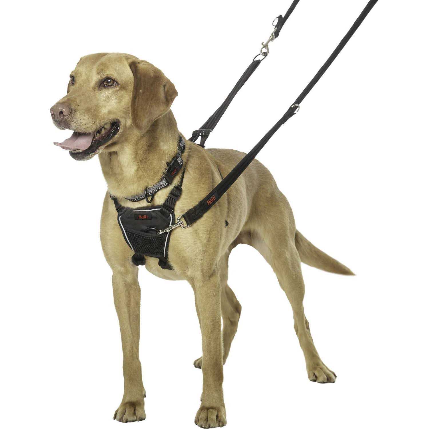 Halti No Pull Harness - Healthber