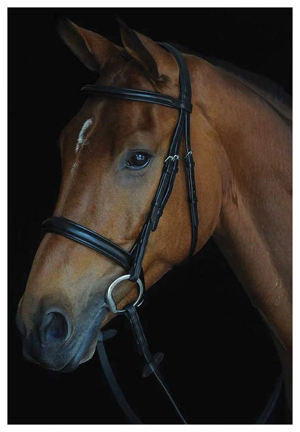 Collegiate Comfort Crown Padded Raised Cavesson Bridle - Healthber
