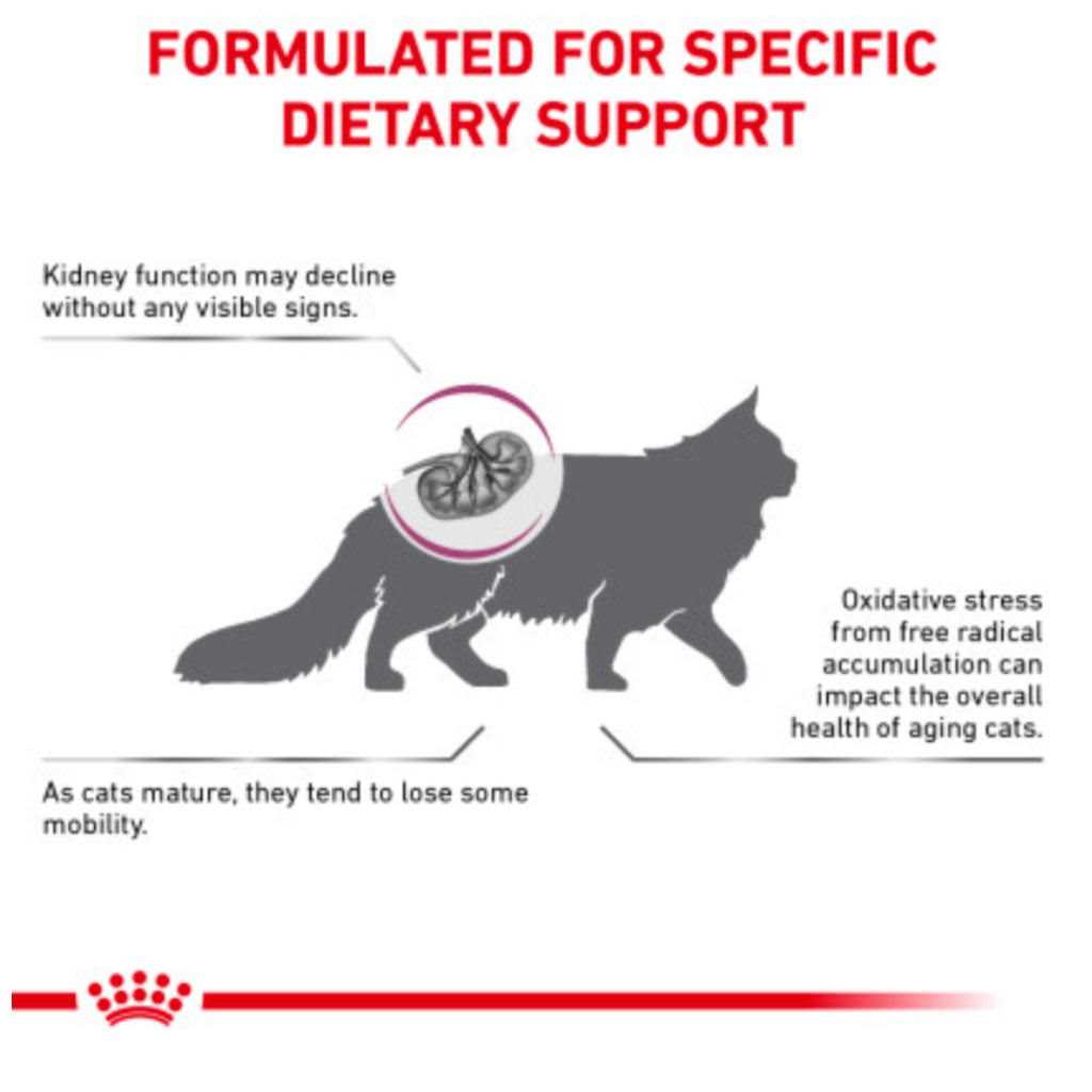 Royal Canin Veterinary Diet Feline Renal Support S Adult Dry Cat Food - Healthber