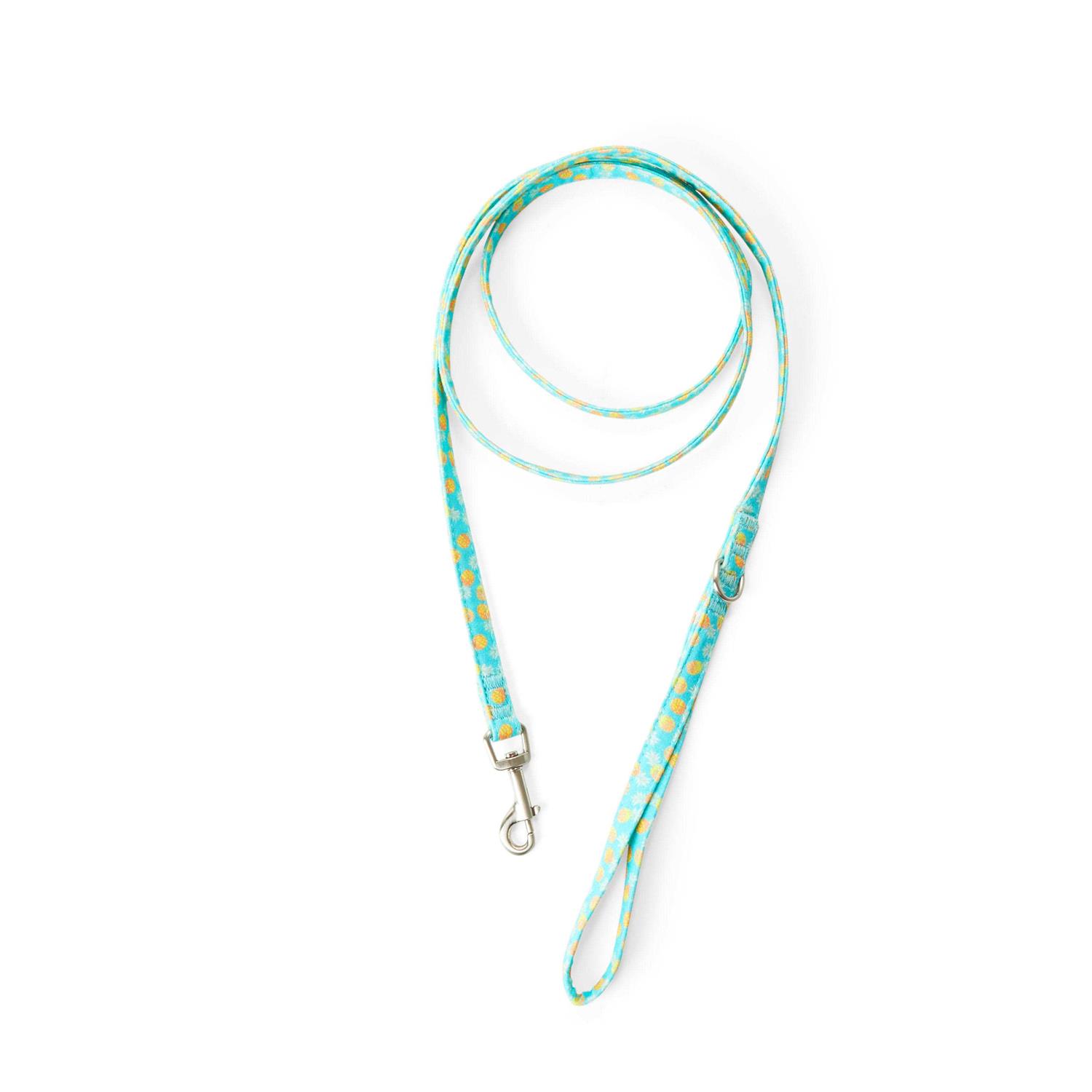 YOULY Small Dog Pineapple Dog Leash - Healthber