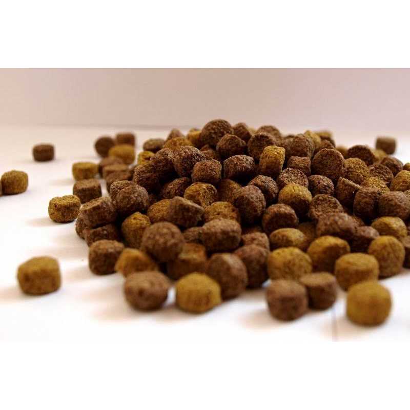 FirstMate Grain Free Chicken Meal with Blueberries Formula Dog Food - Healthber