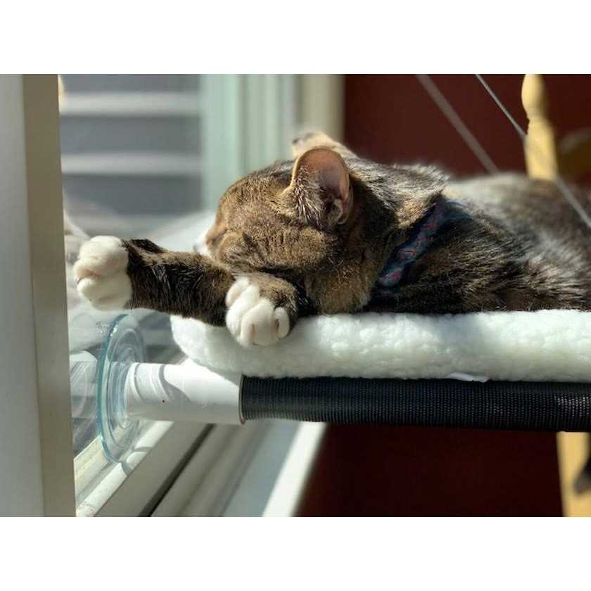 Kitty Cot Original World’s Best Cat Perch - Healthber