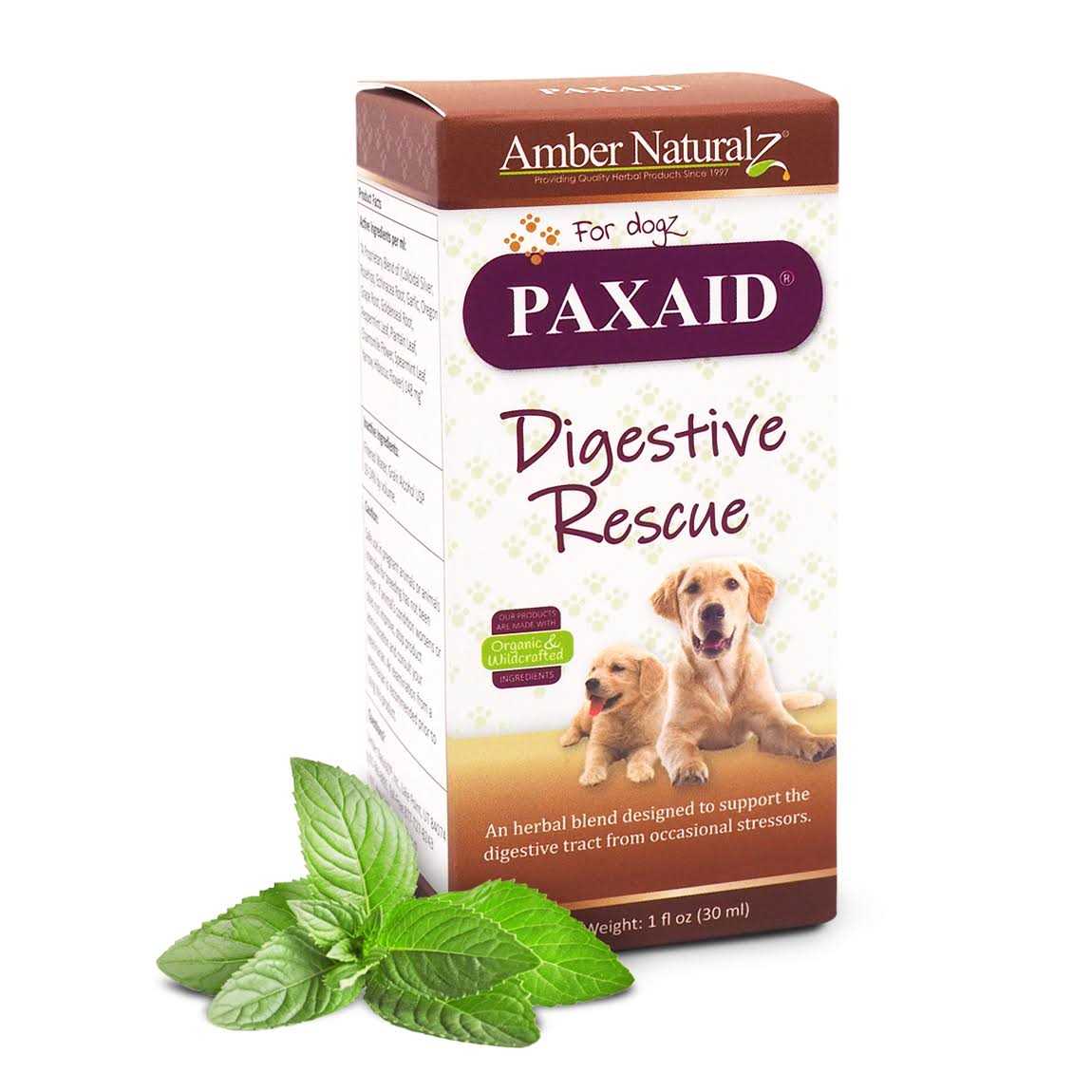 Amber Naturalz Paxaid Digestive & Immune Support - Healthber
