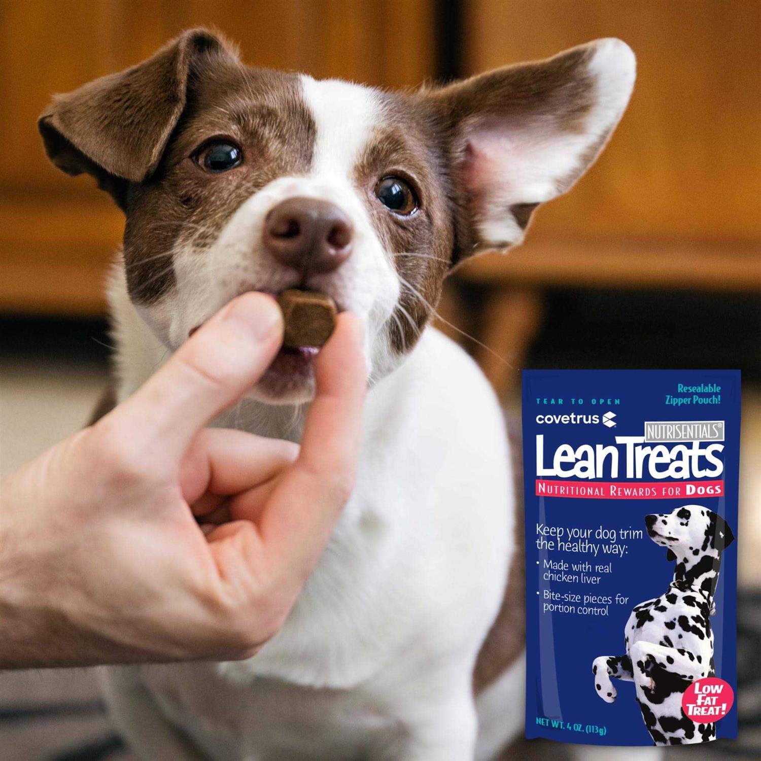 Lean Treats Dogs - Healthber