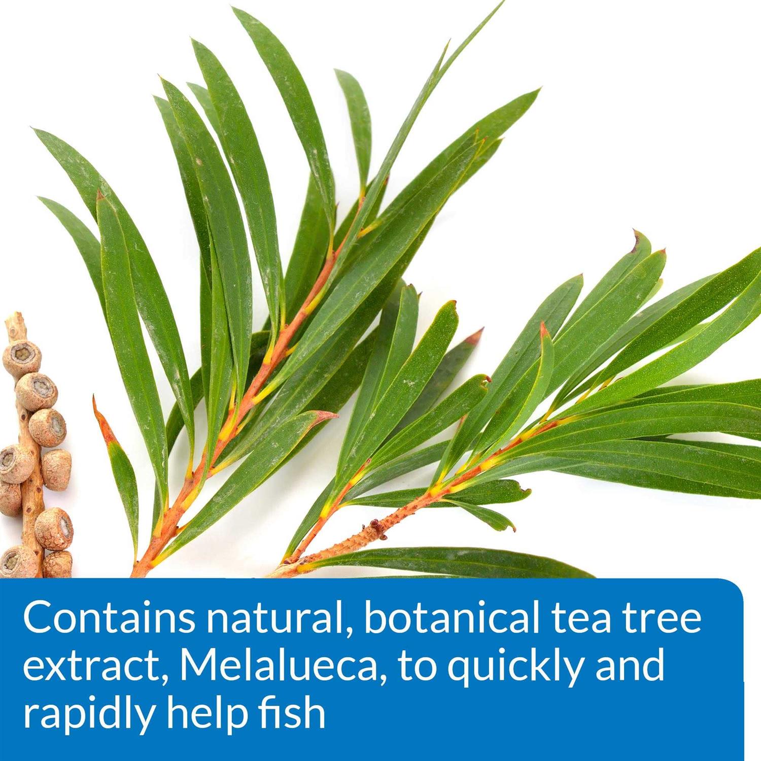 API MelaFix Fish Remedy - Healthber