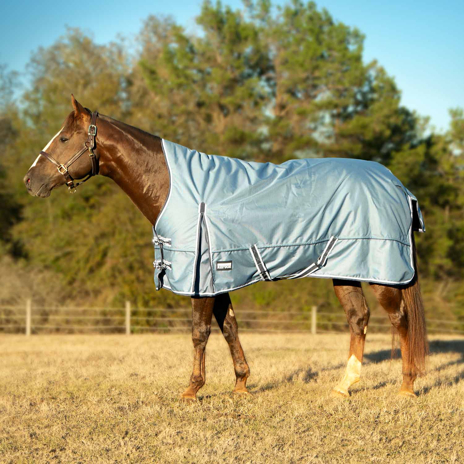 Poplar Head Refuge 1200 Denier Turnout Blanket with High Neck, 240 Gram, Hamilton Blue - Healthber