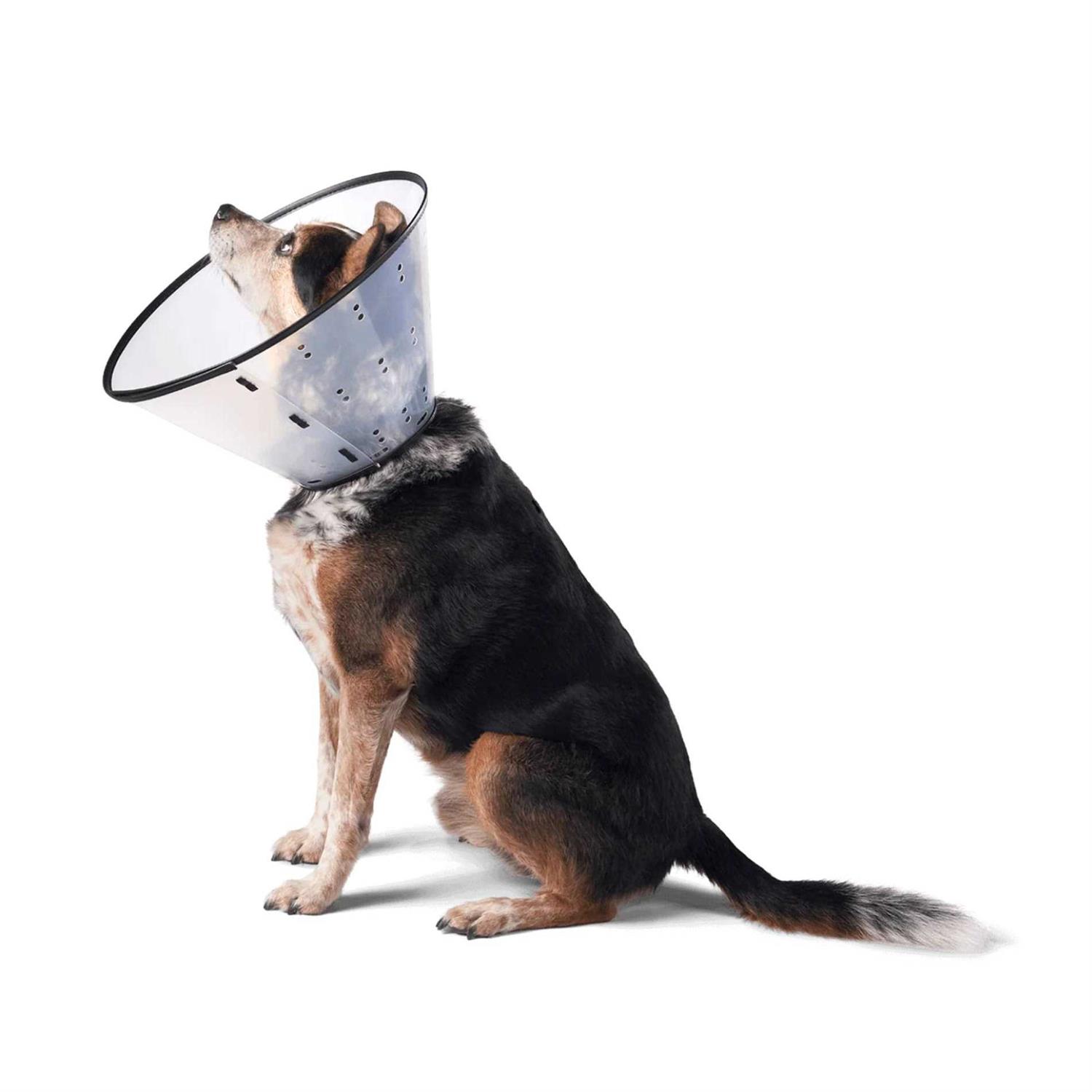 Remedy & Recovery Dogswell E-Collar - Healthber